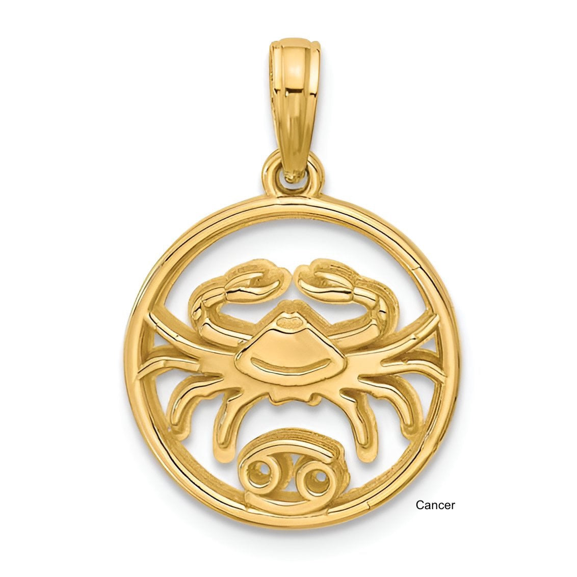 Gold Zodiac Pendant
