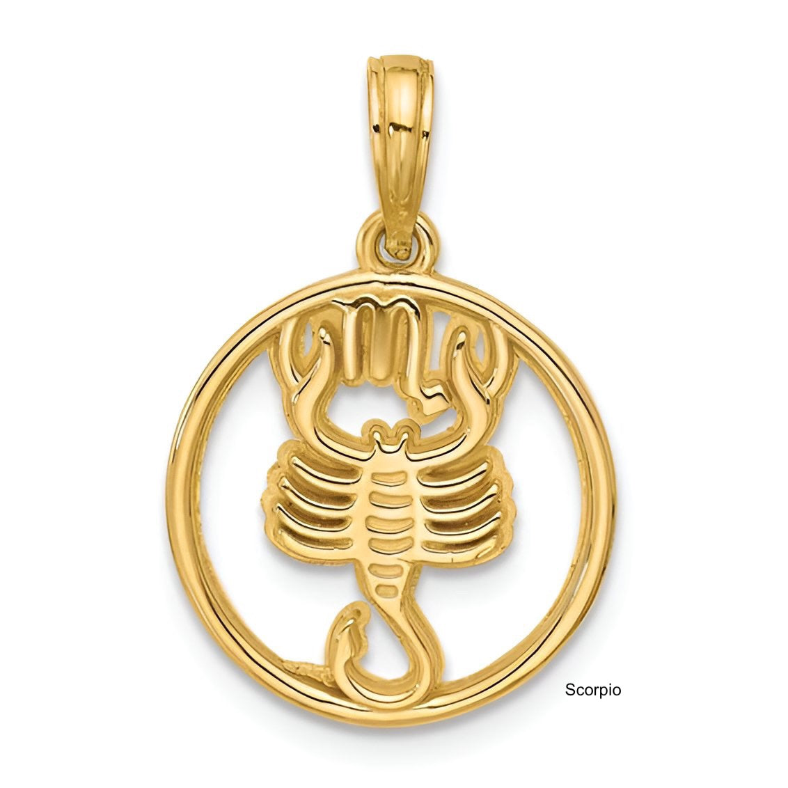 Gold Zodiac Pendant