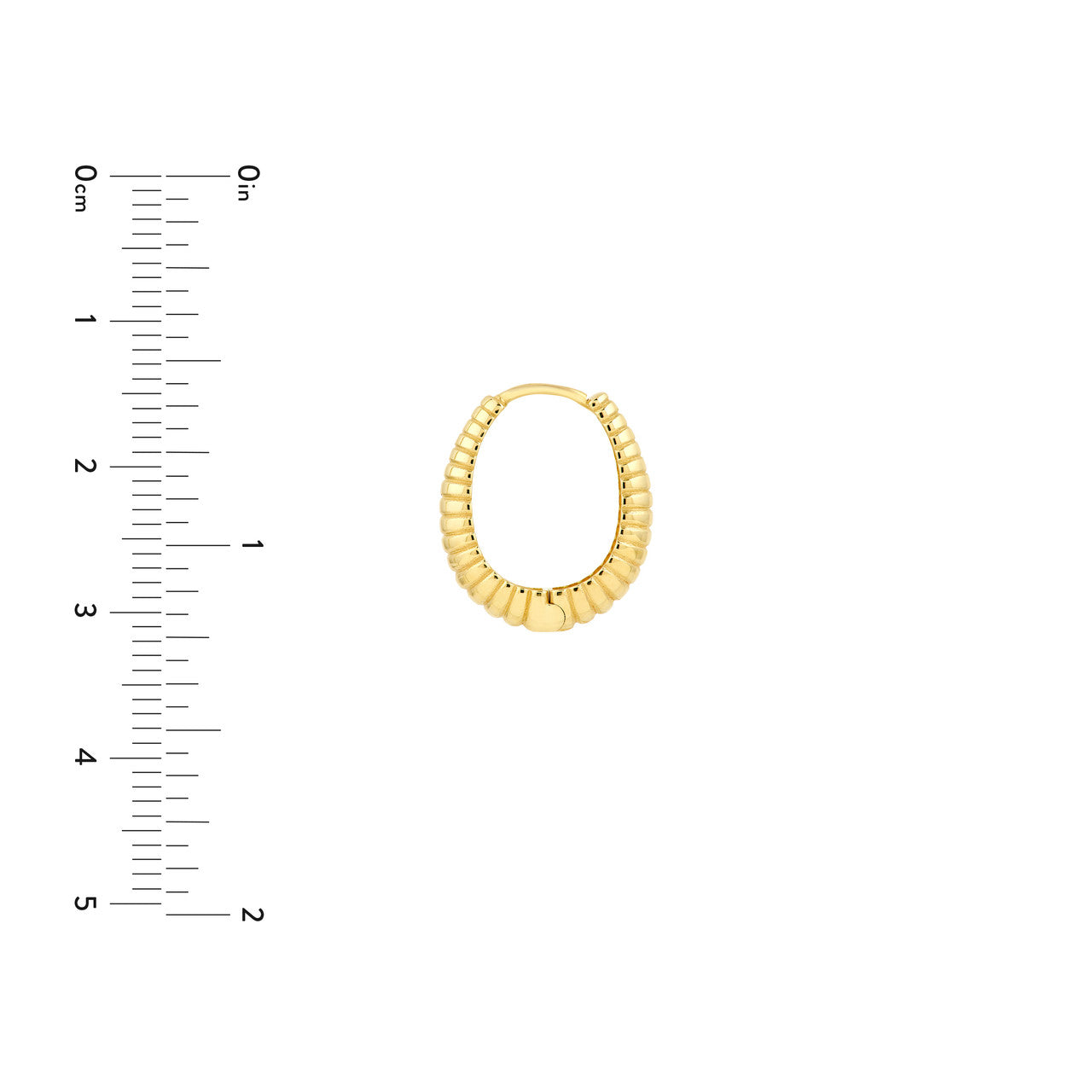 Graduated Shrimp Oval Hoop Earrings